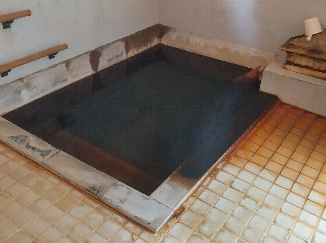 Hanesawa Onsen Kyodo Yokujo景点图片