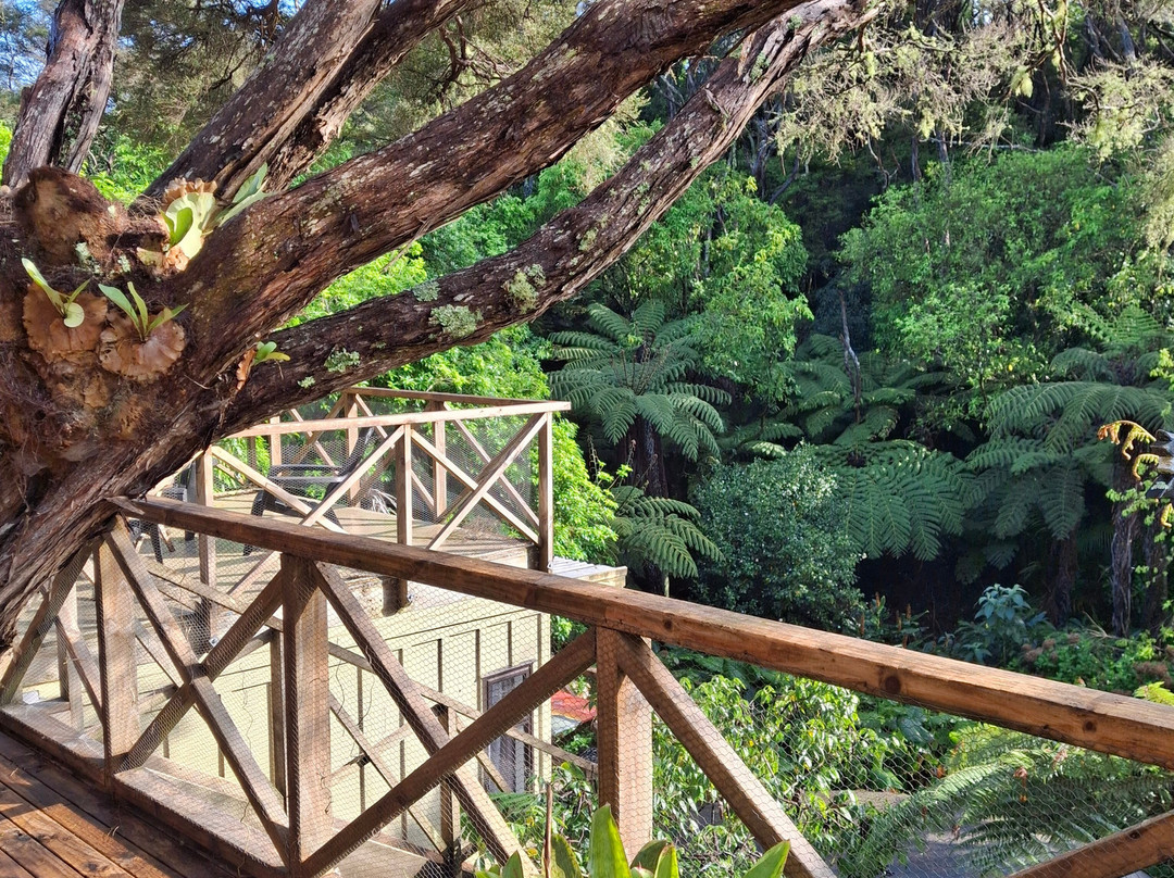 Waiheke Punga Lodge主图