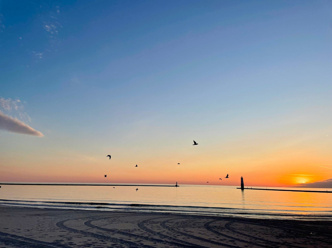 Harbor Lights Resort主图