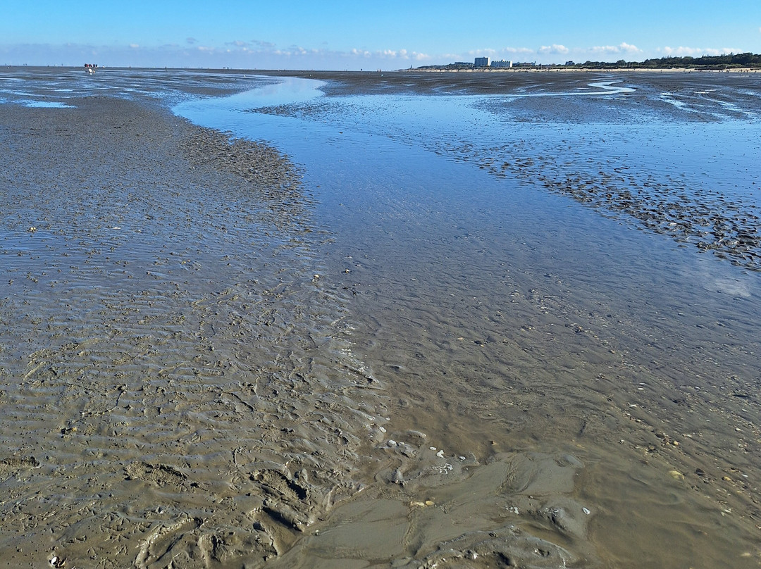 Gönn dir Watt-库克斯港县必去景点