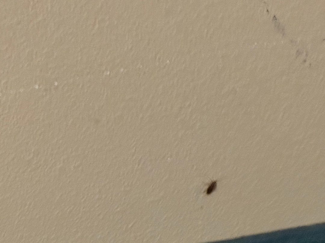 Residence Inn by Marriott Houston Sugar Land/Stafford主图