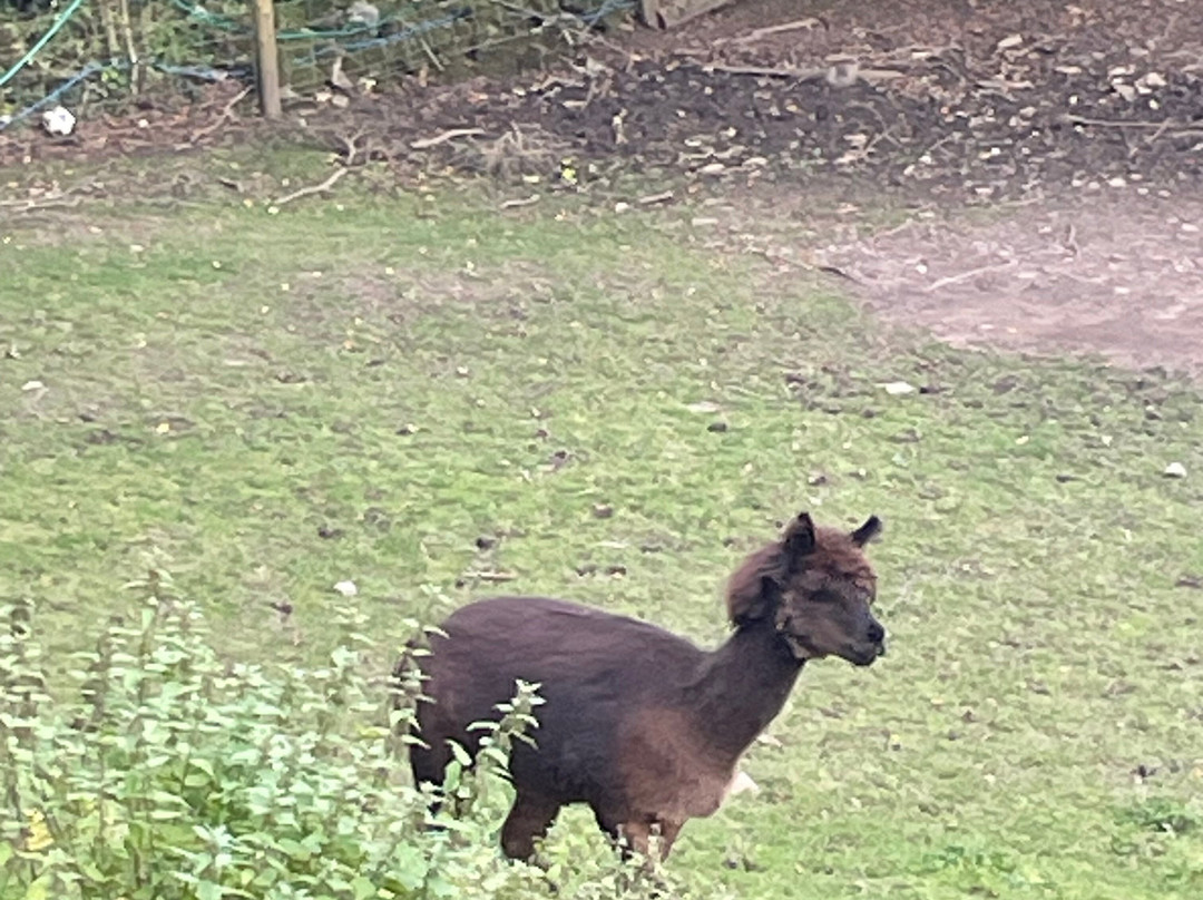 The Mill at Glynhir主图