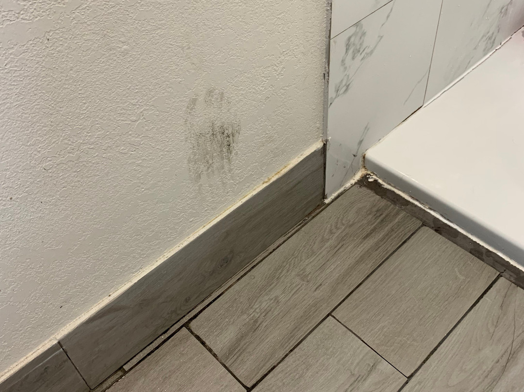 SureStay By Best Western Terrell主图