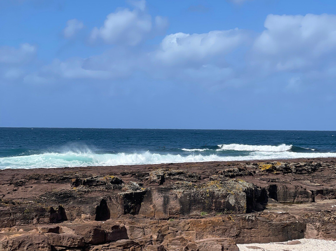 Shellharbour Village Motel主图