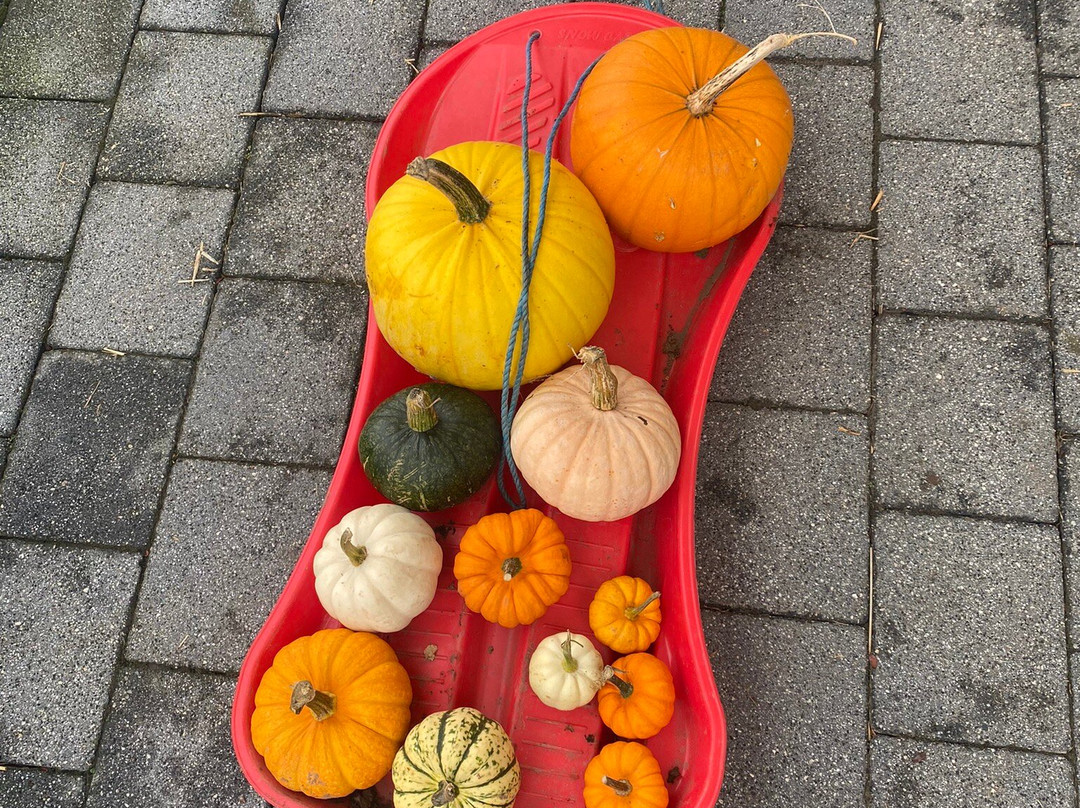 Broadslap Fruit Farm, Farm Shop and Cafe-Dunning必去景点