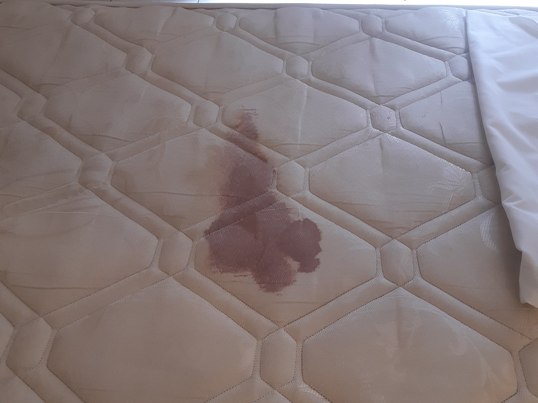 Belpoint Beach Hotel主图