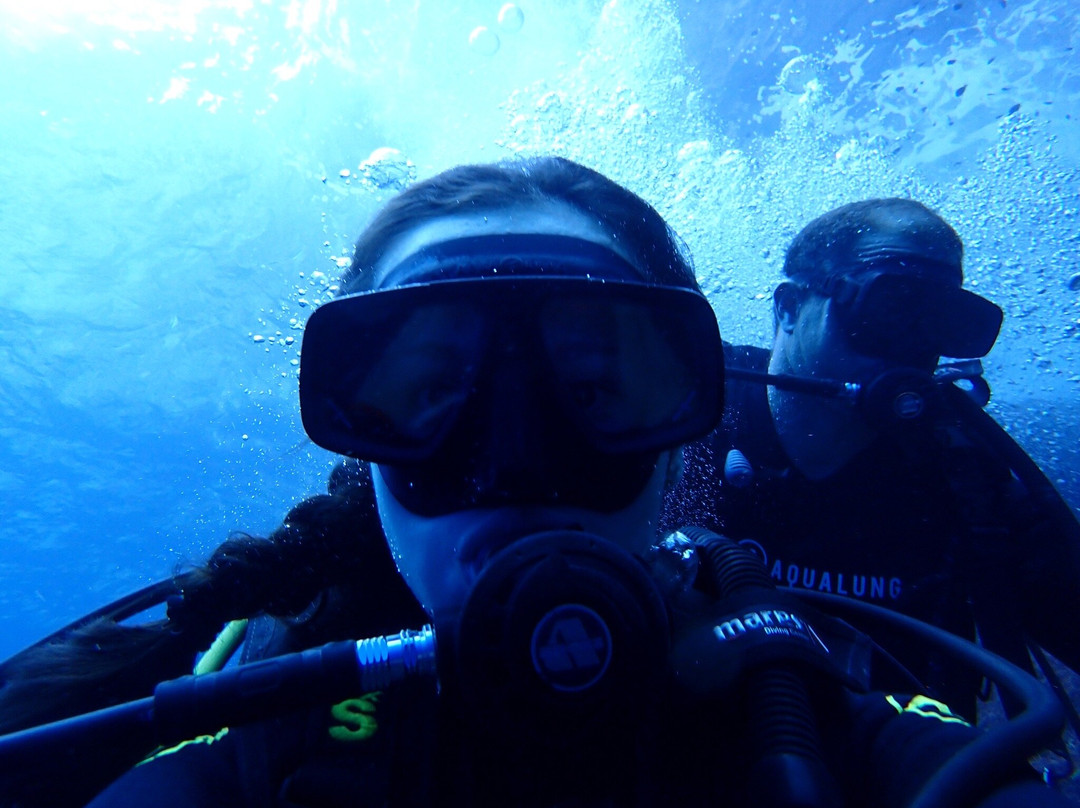 Dwejra Divers-圣劳伦斯必去景点