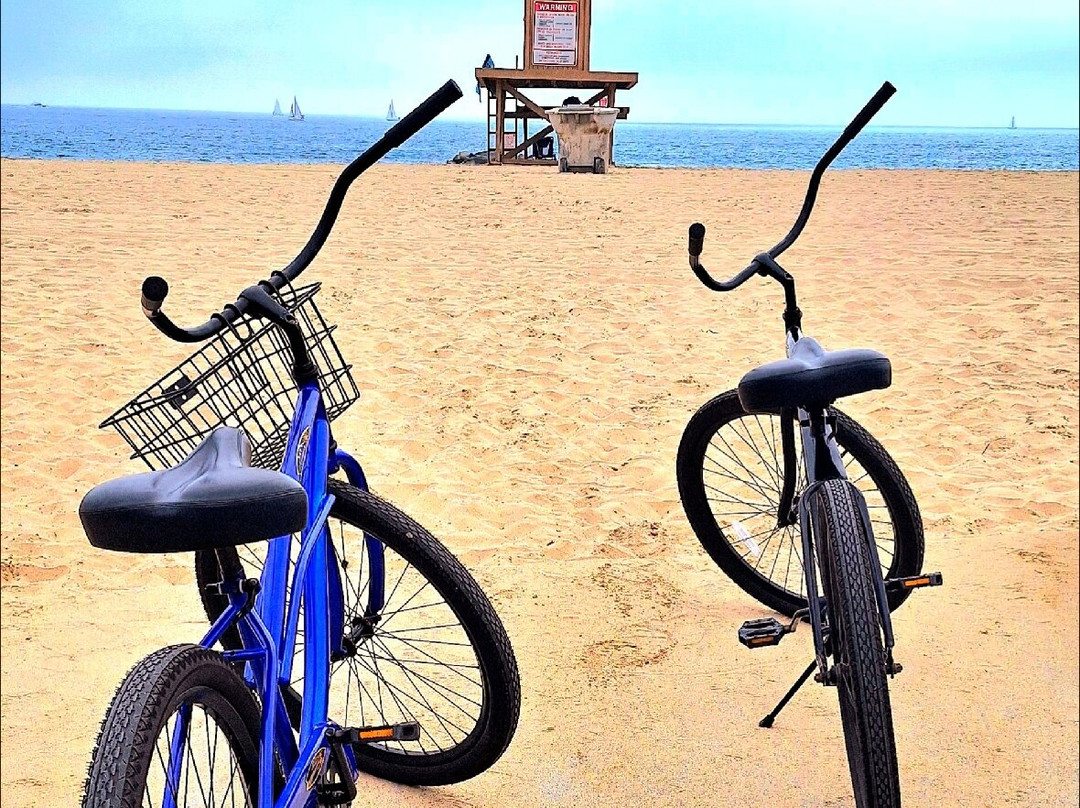 Newport Channel Inn主图