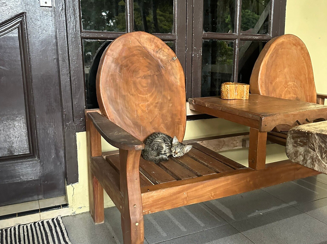 Wisma Leuser Sibayak主图