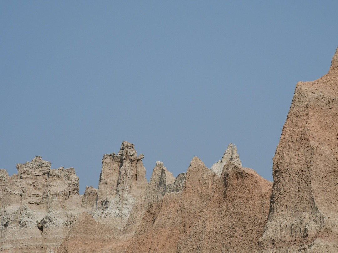 Fossil Exhibit Trail景点图片