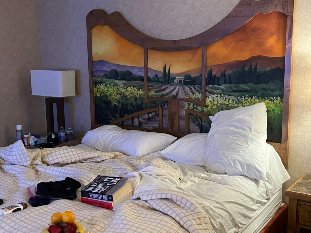 El Bonita Motel主图