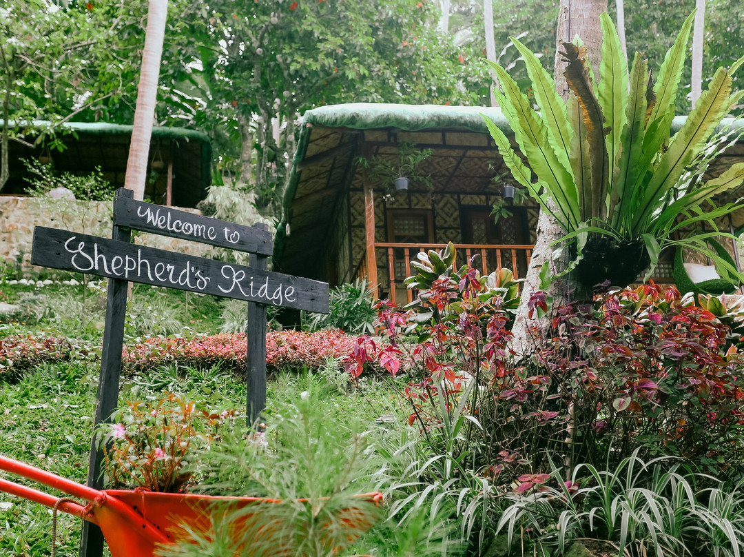Shepherd's Ridge Mountain Resort