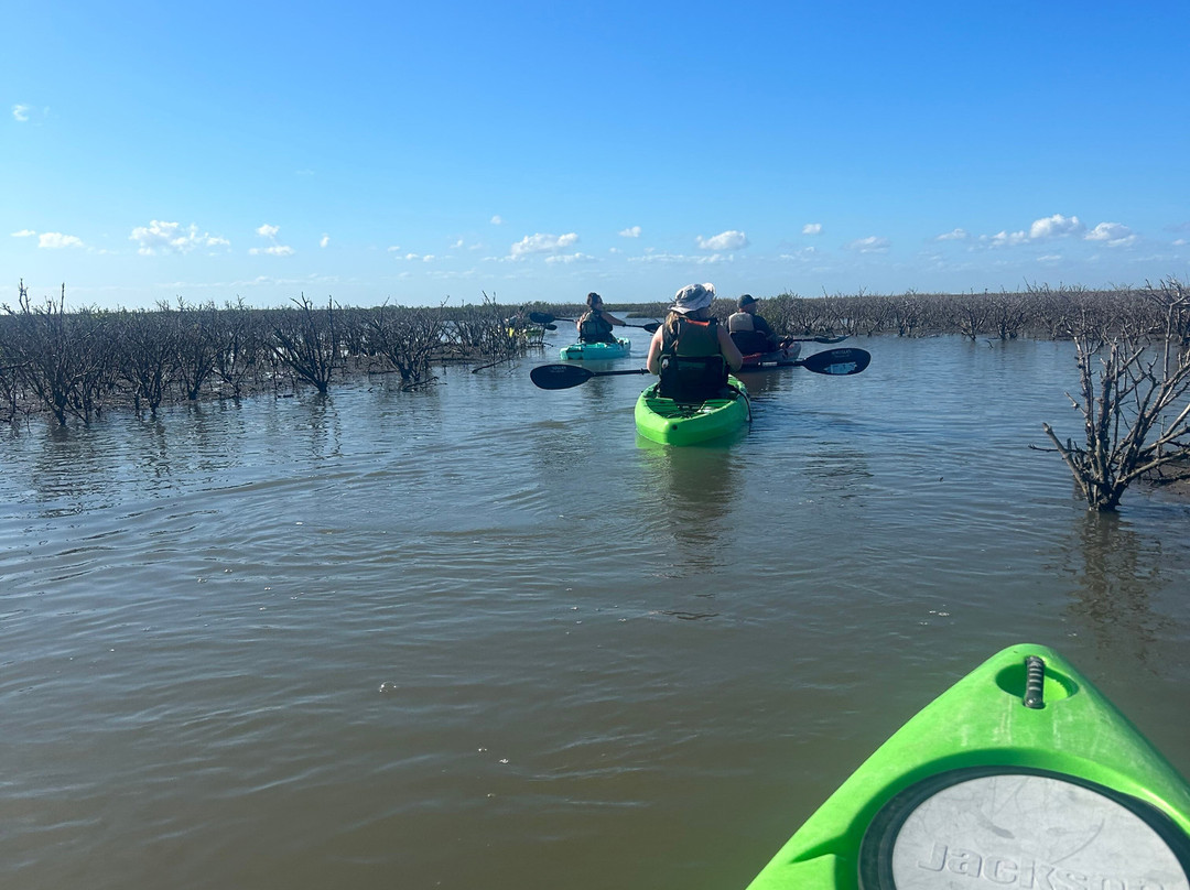 Coastal Bend Kayak-Aransas Pass必去景点