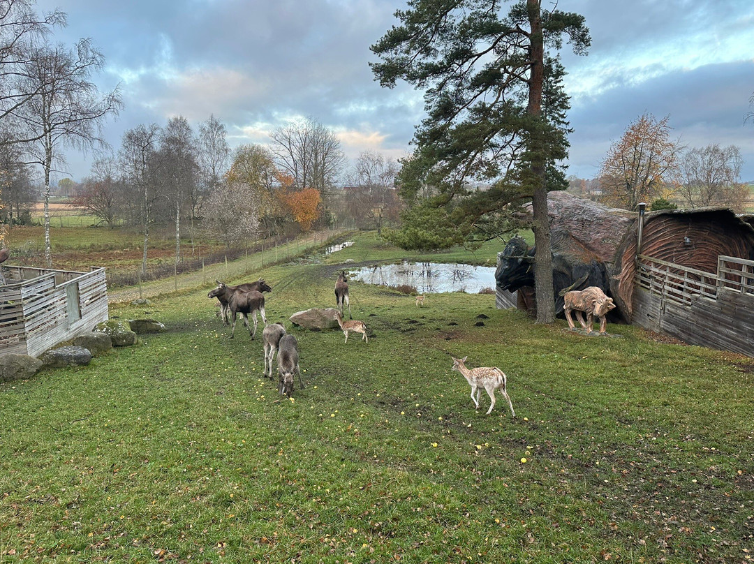 Alghotellet Wragarden