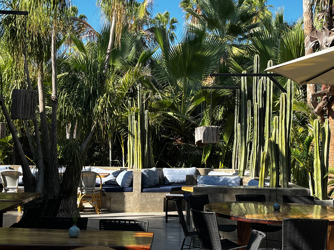 Acre Restaurant & Cocktail Bar