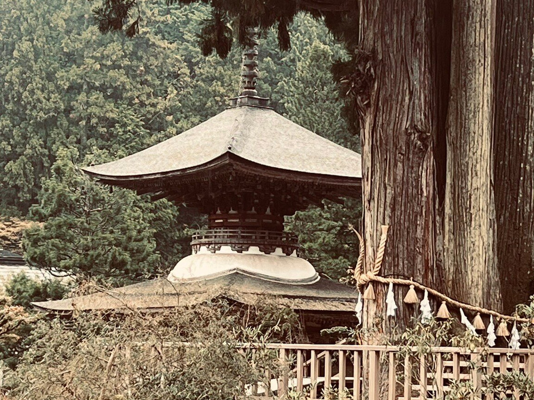 Kongosanmaiin-高野町必去景点