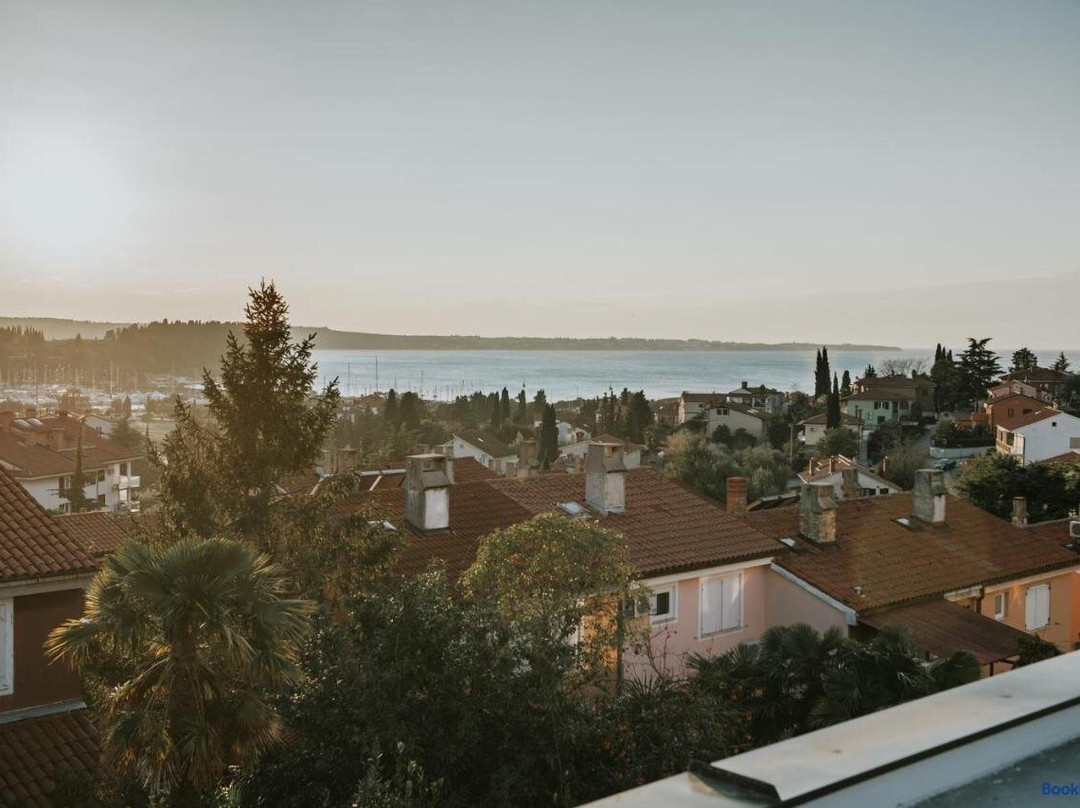 Apartma Rene