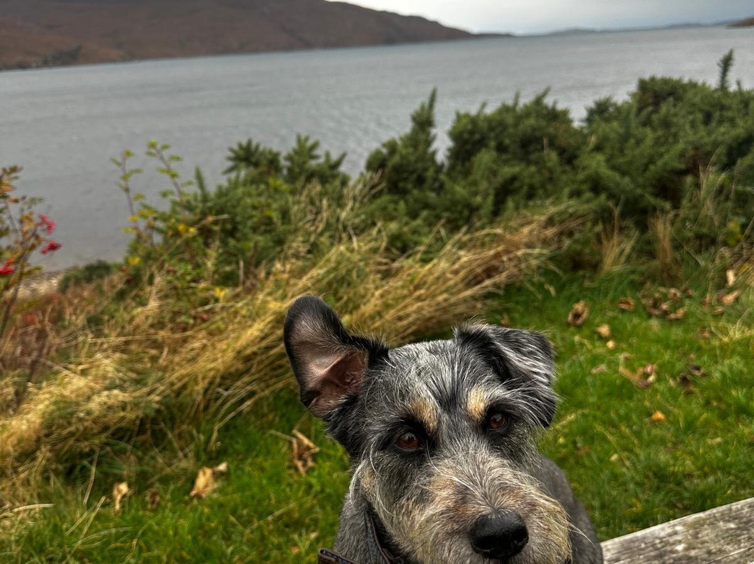 Ullapool Tours景点图片