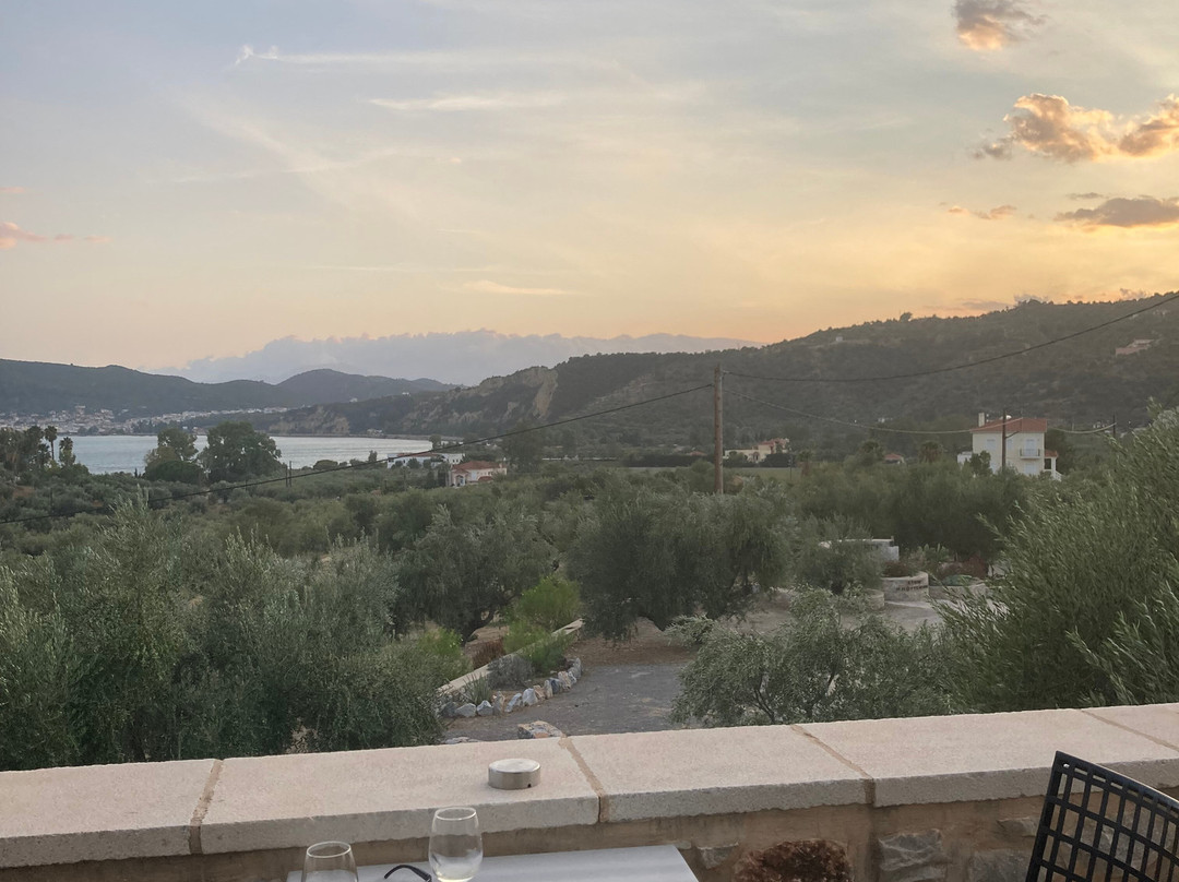 The Olive Yard -Boutique Hotel主图