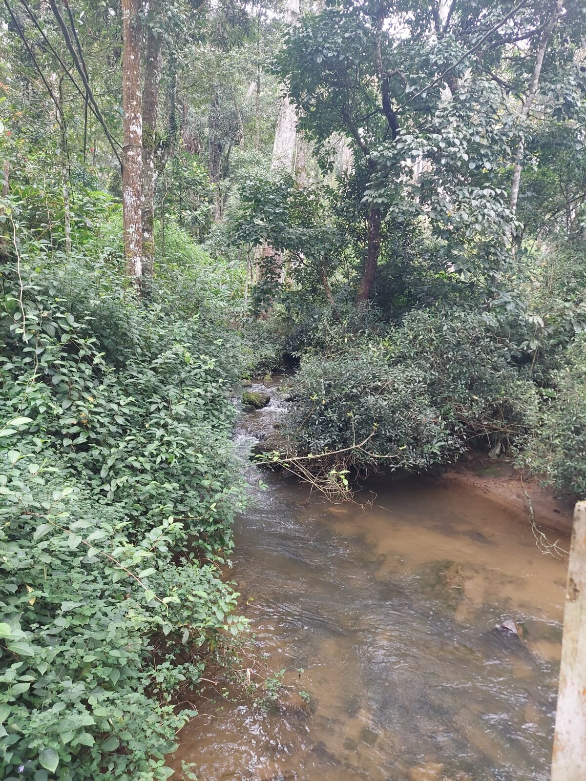 Neelakurunji Luxury Plantation Bungalow-浴室