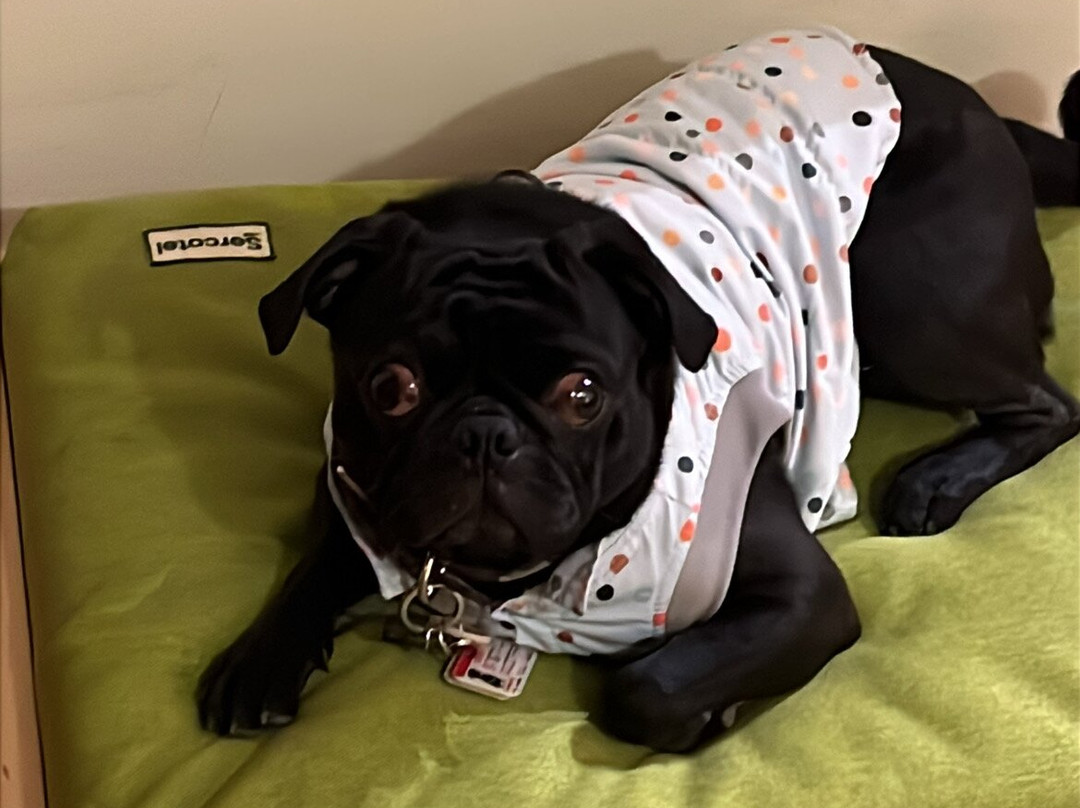 托莱多帝国酒店主图