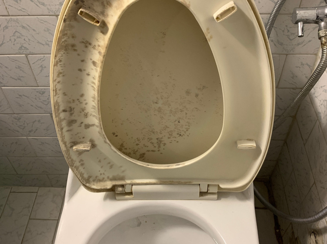 巴克塔普尔酒店主图