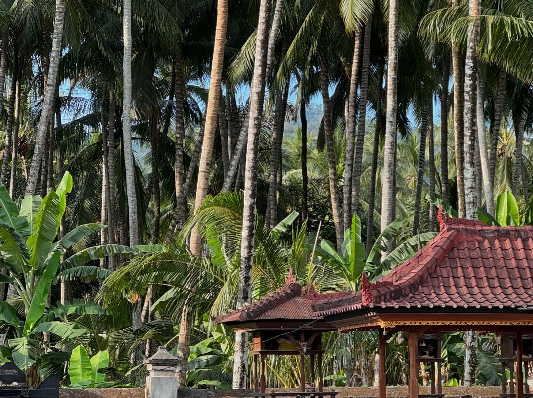 White Rose Guest House主图