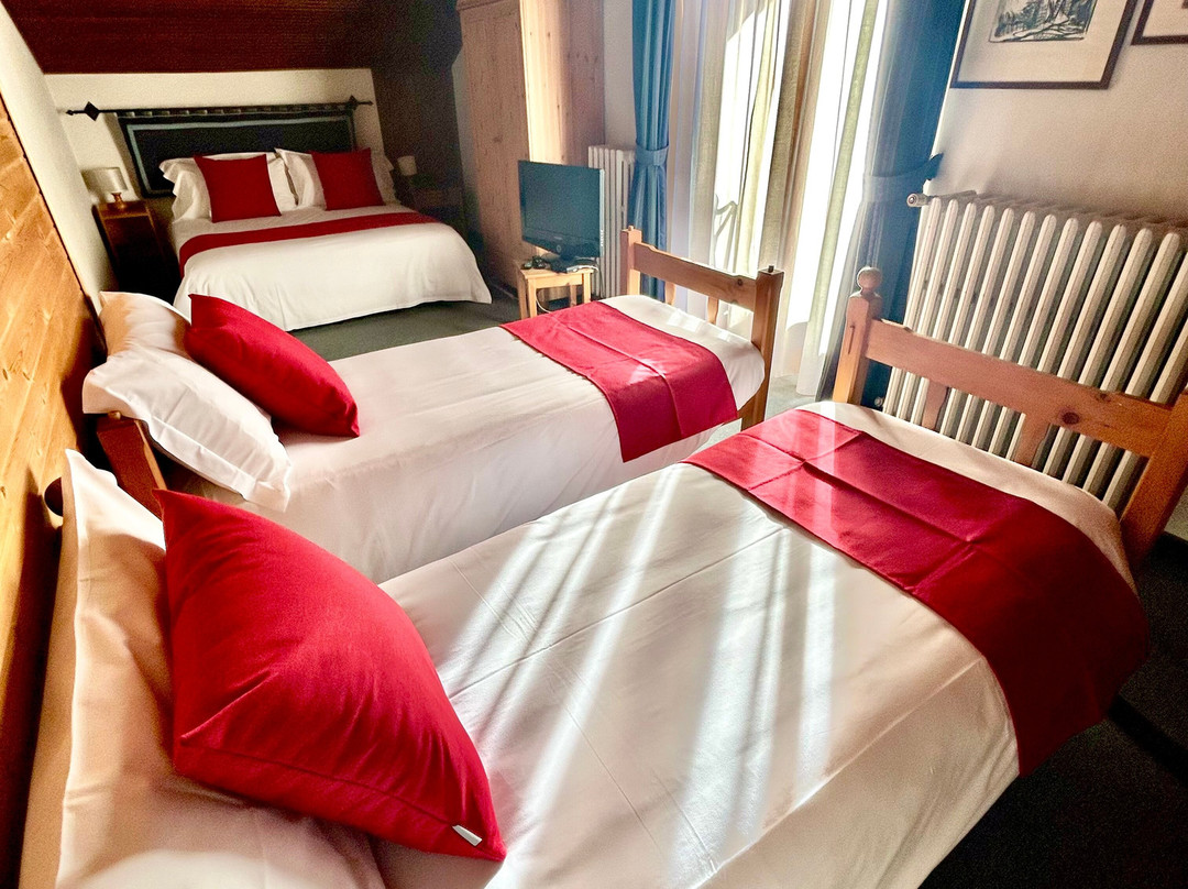 Bb La Nigritella主图