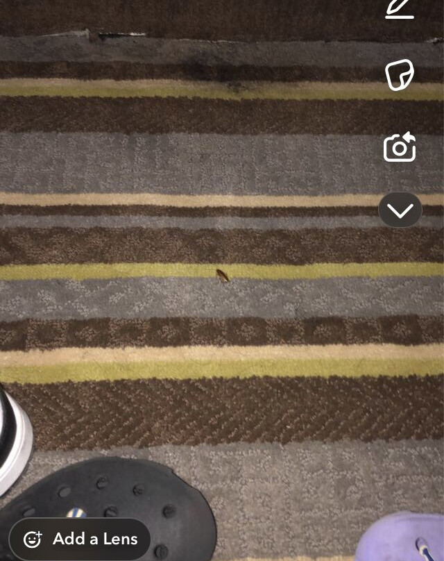 Super 8 by Wyndham Aurora/Naperville Area主图