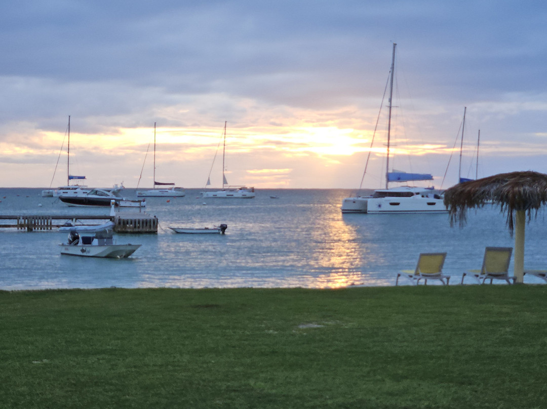 Anegada Reef Hotel主图