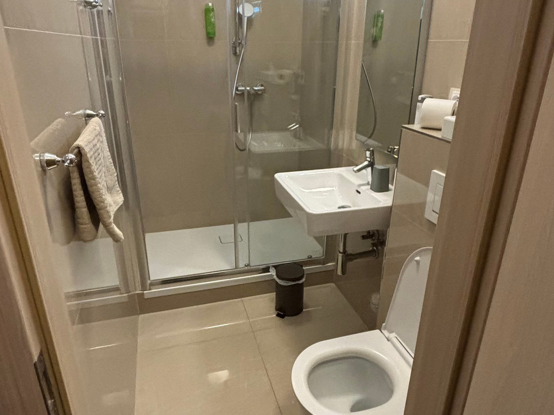 Boutique Hotel U Solné brány主图