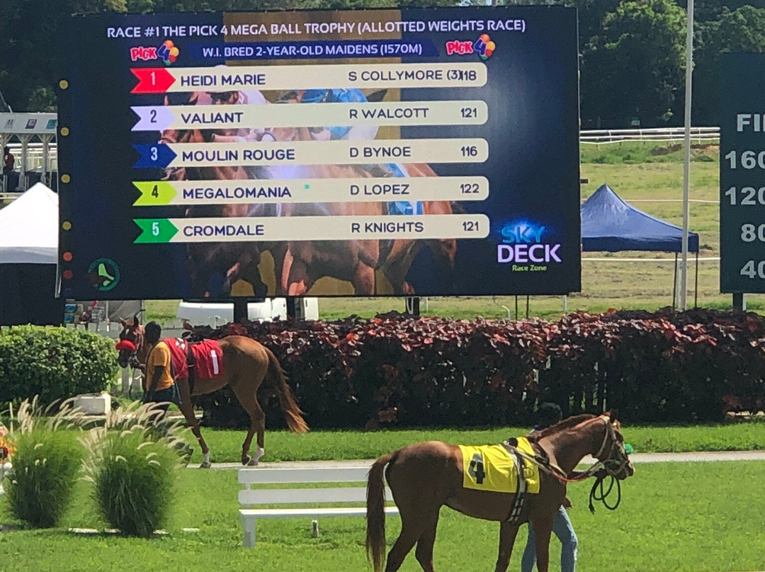 Garrison Savannah - Barbados Turf Club-布里奇顿必去景点