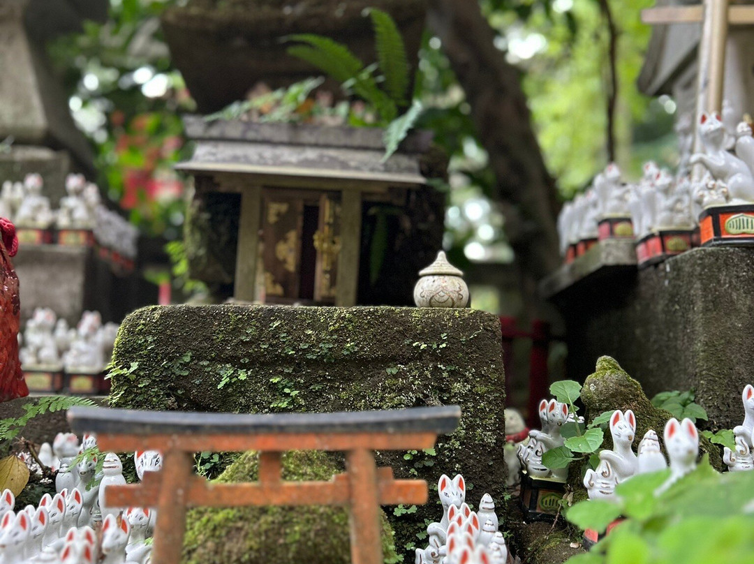 Sasuke Inari Shrine景点图片