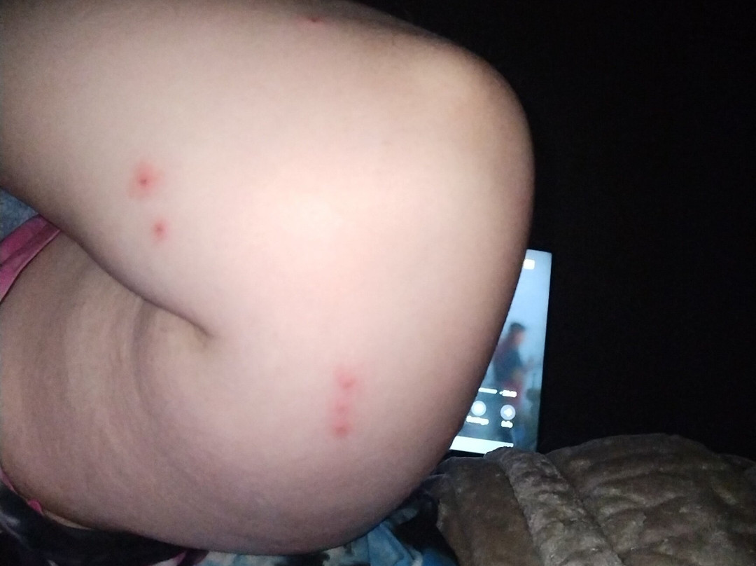 Super 8 by Wyndham Alma主图