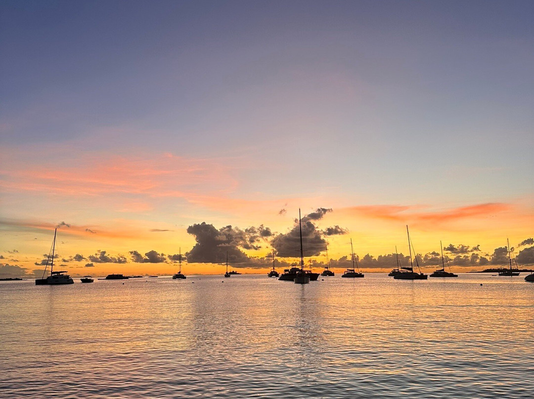 Kim Sha Beach-辛普森湾必去景点