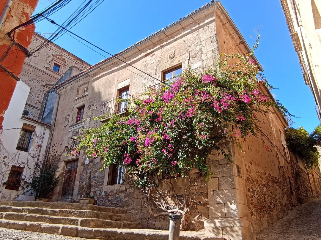 Caceres Municipal Museum景点图片