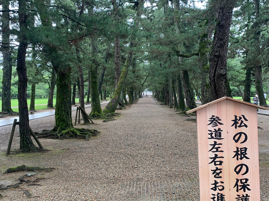Pine Entrance Path-出云市必去景点