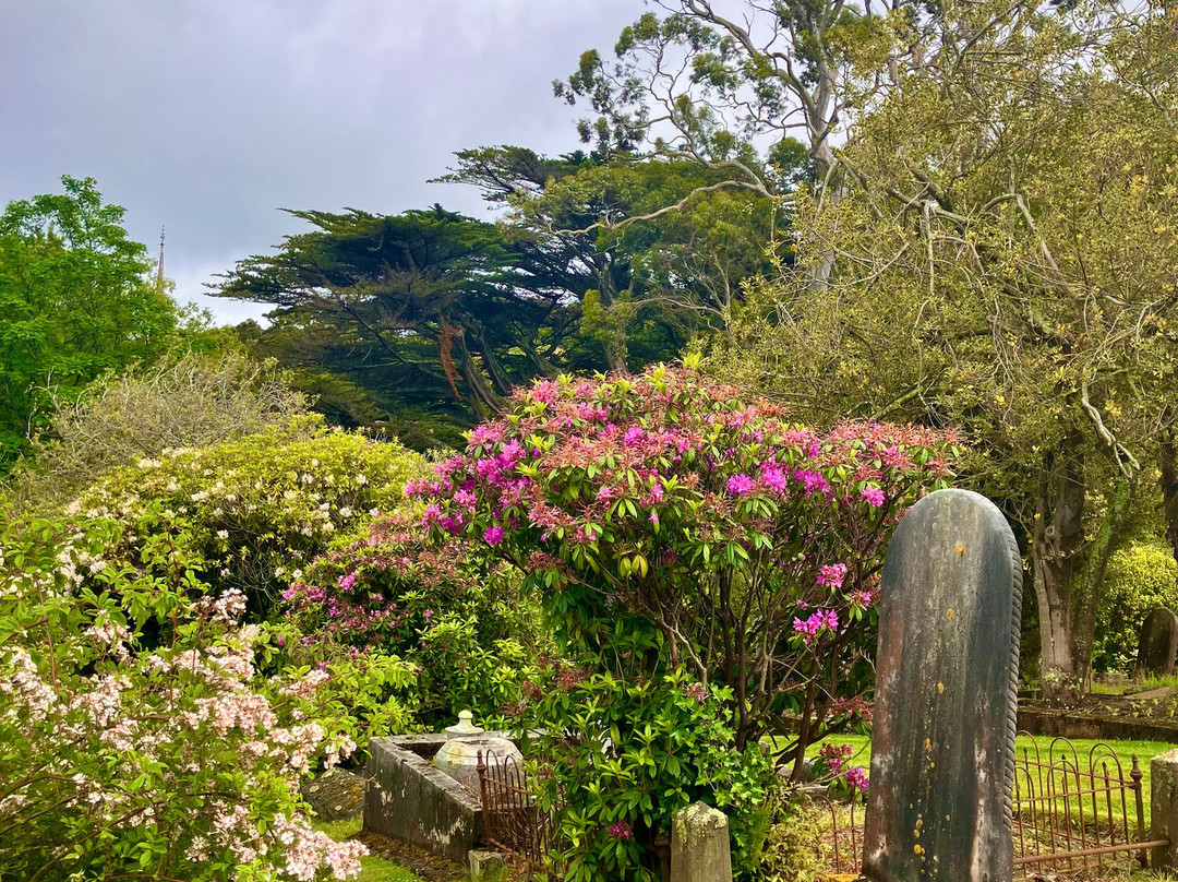 Northern Cemetery-但尼丁必去景点