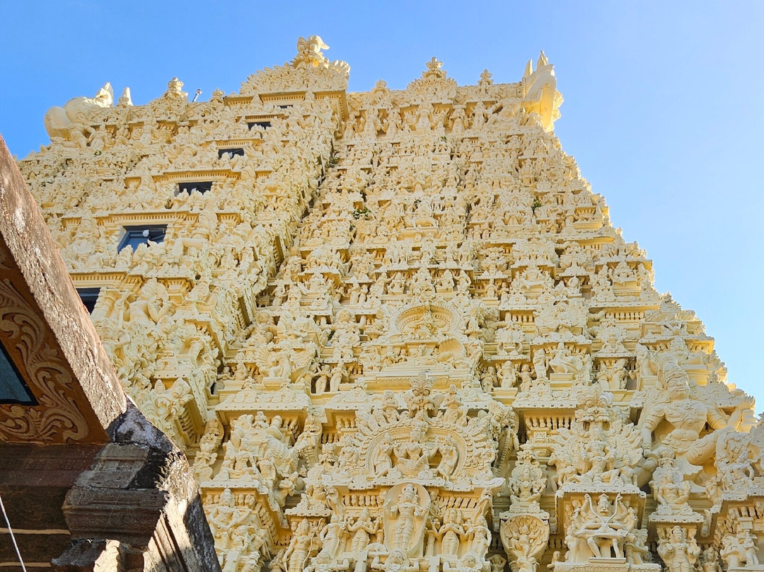 Nagaraja Temple景点图片