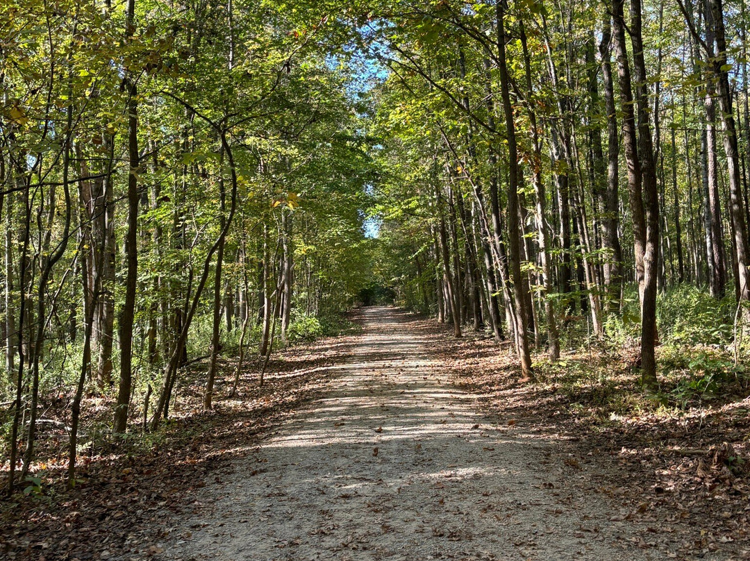 Latta Plantation Nature Center & Preserve景点图片