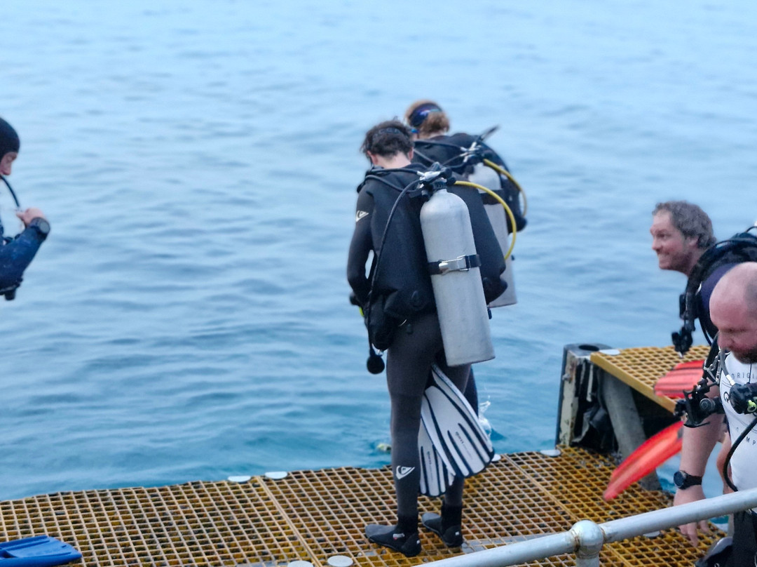 Extra Divers Australia-圣诞岛必去景点