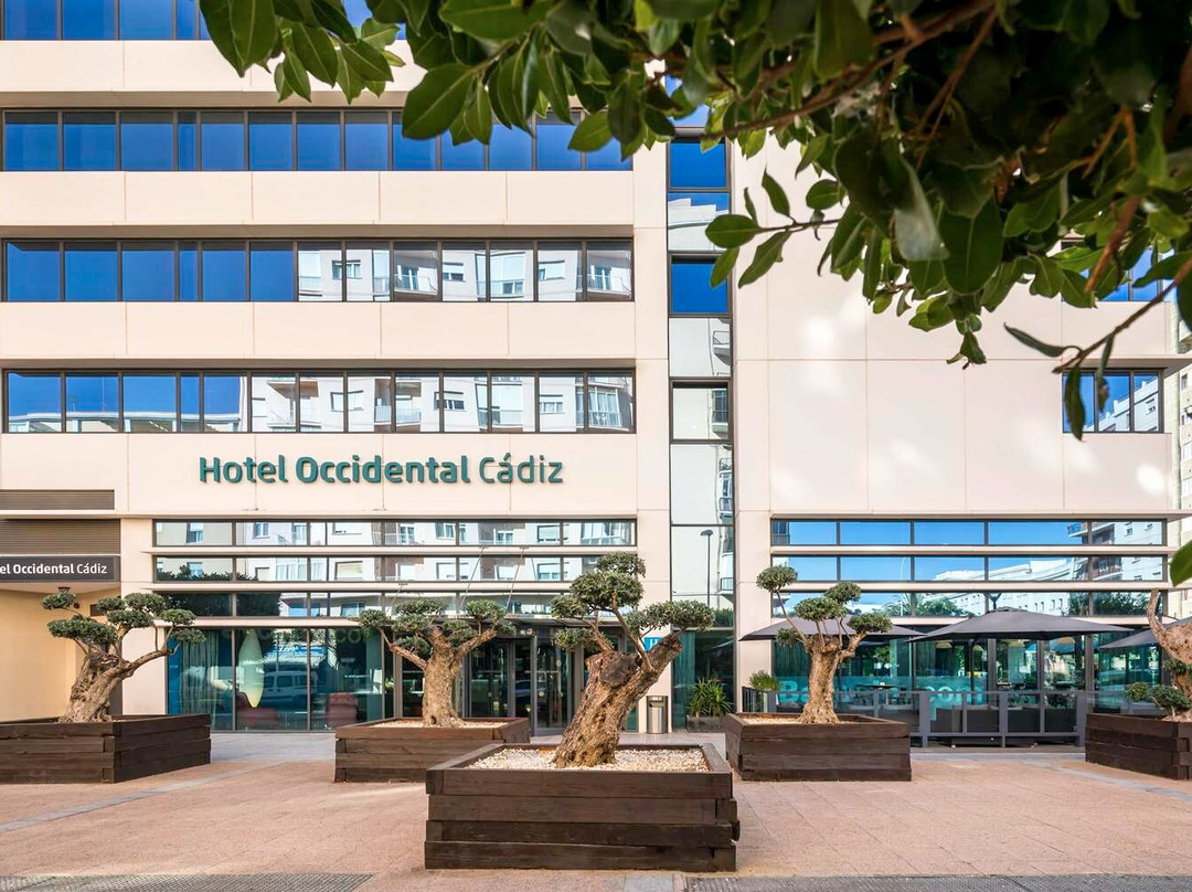 加的斯市酒店住宿-Occidental Cádiz