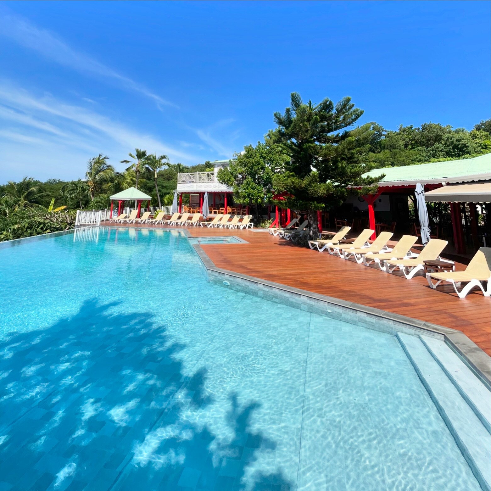 Hotel Restaurant Le Rayon Vert-泳池