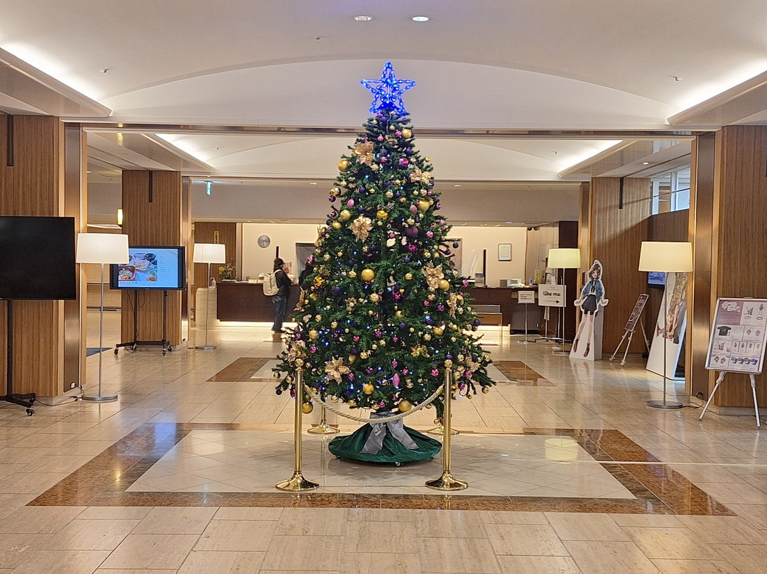 加古川广场酒店主图