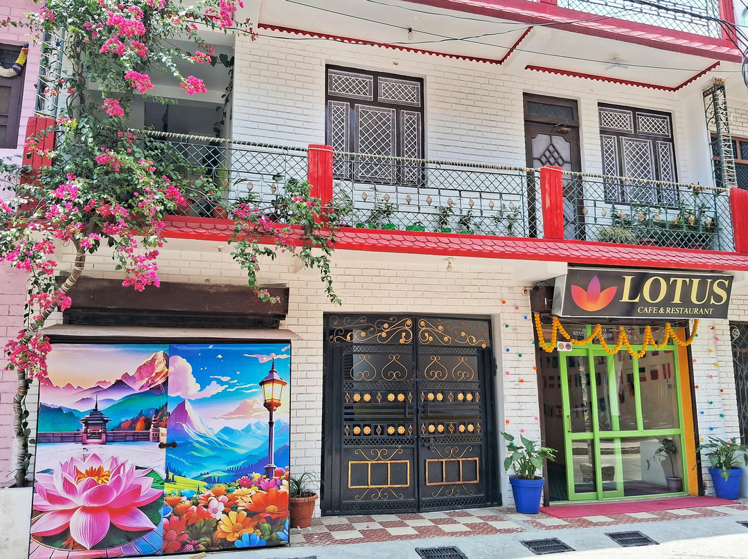 Lotus Cafe & Restaurant