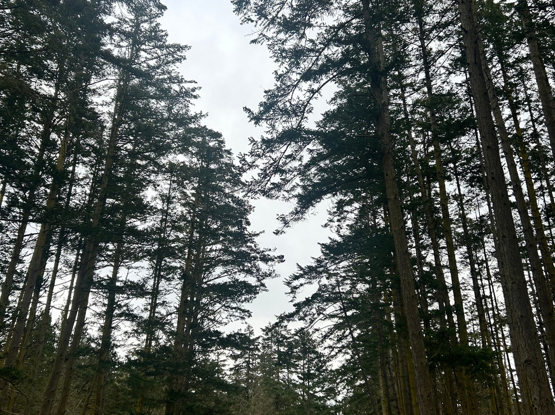 Friday Harbor Suites主图