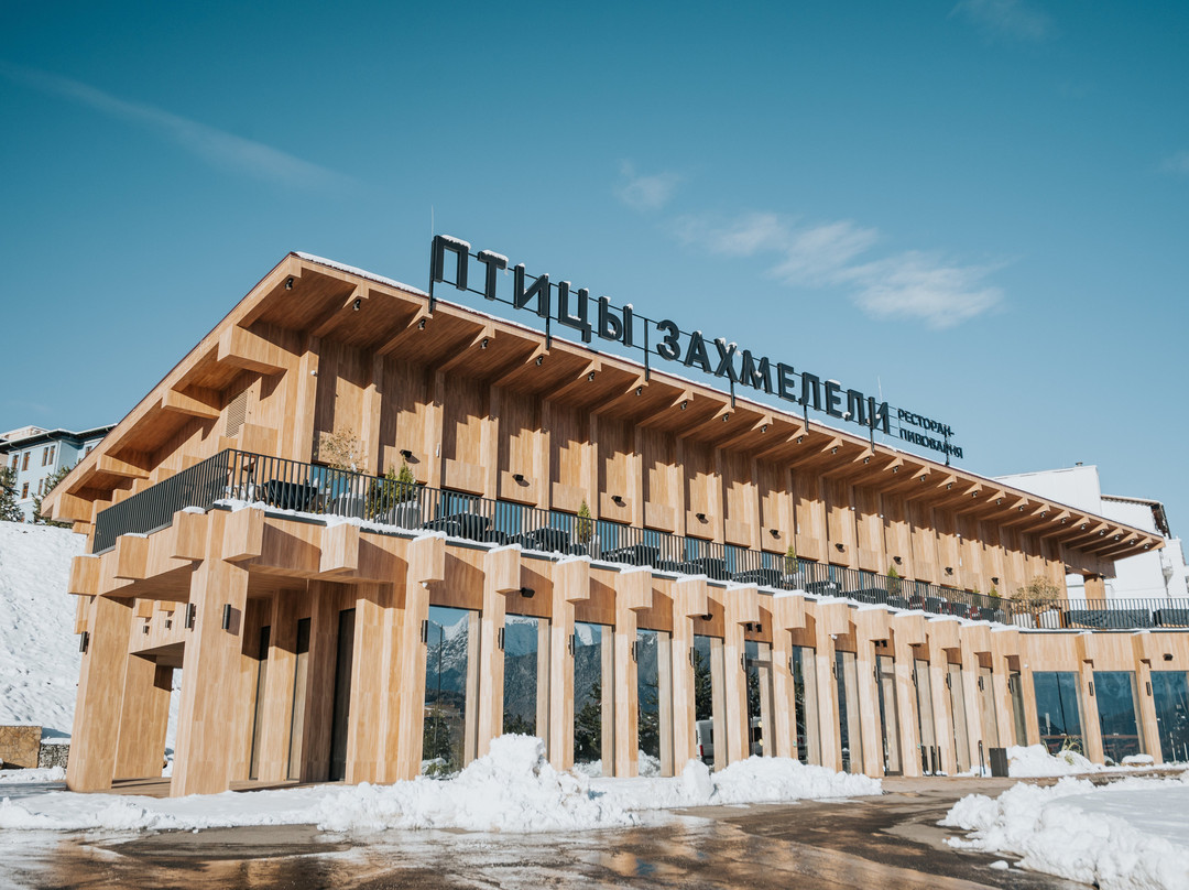 Ptitsy Zakhmeleli
