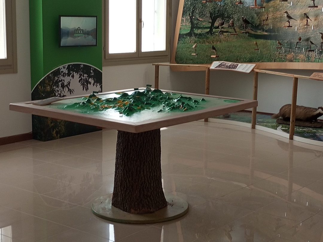 Muce - Museo Dei Colli Euganei-Galzignano Terme必去景点