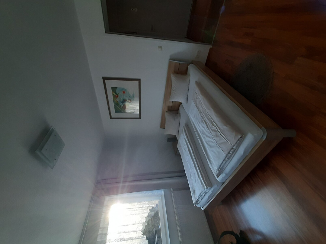 Pension Fürstenhof主图