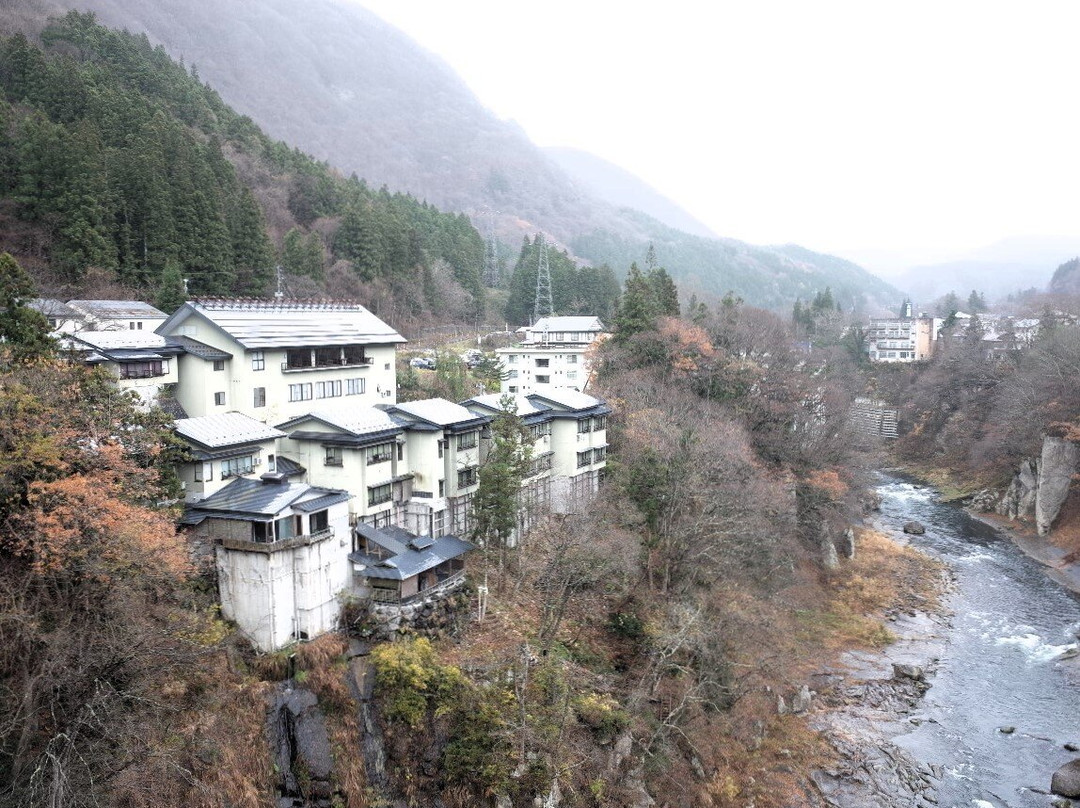 Toryukan主图